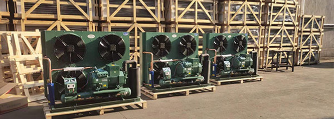 公司簡(jiǎn)介 公司簡(jiǎn)介